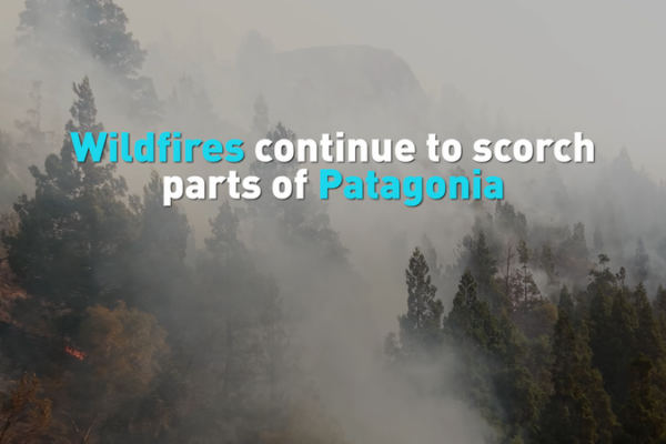 Patagonia_Wildfires_Threaten_Ancient_Forests__Ecosystems_in_2026 video poster