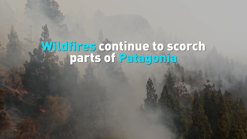 Patagonia_Wildfires_Threaten_Ancient_Forests__Ecosystems_in_2026 video poster