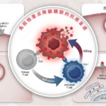 Peking_University_Team_Develops_Groundbreaking_Cancer_Vaccine_That_Exposes_Tumors_from_Within - Khabar Asia Peking_University_Team_Develops_Groundbreaking_Cancer_Vaccine_That_Exposes_Tumors_from_Within