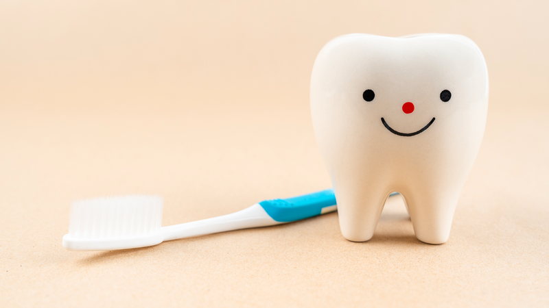 Pulpotomy_Emerges_as_Revolutionary_Alternative_to_Root_Canals_in_2026