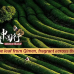 Qimen_s_Keemun_Tea_Blends_Tradition_with_5G_Innovation_poster - Khabar Asia Qimen_s_Keemun_Tea_Blends_Tradition_with_5G_Innovation video poster