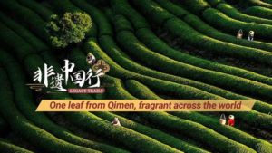Qimen_s_Keemun_Tea_Blends_Tradition_with_5G_Innovation video poster