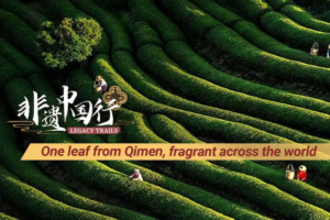 Qimen_s_Keemun_Tea_Blends_Tradition_with_5G_Innovation video poster