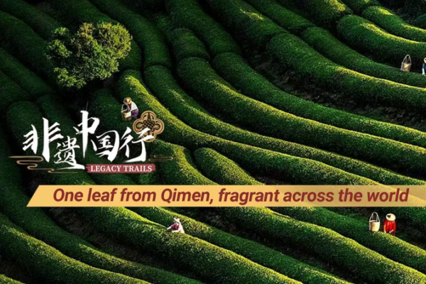 Qimen_s_Keemun_Tea_Blends_Tradition_with_5G_Innovation video poster