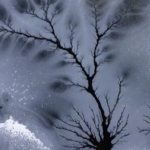 Rare__Ice_Woods__Emerge_in_Xinjiang_s_Frozen_River video poster