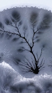 Rare__Ice_Woods__Emerge_in_Xinjiang_s_Frozen_River video poster