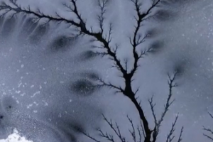 Rare__Ice_Woods__Emerge_in_Xinjiang_s_Frozen_River video poster