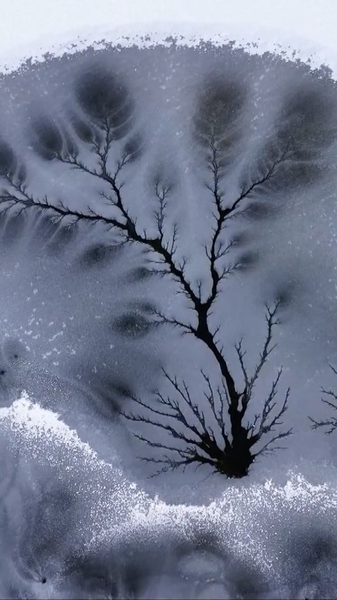 Rare__Ice_Woods__Emerge_in_Xinjiang_s_Frozen_River_poster - Khabar Asia Rare__Ice_Woods__Emerge_in_Xinjiang_s_Frozen_River video poster