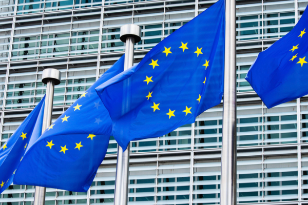 EU Sanctions on Russia Cost €48B in Export Losses Since 2022