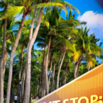 Sanya_s_Coconut_Dream_Corridor__Winter_Sun_Haven_in_Hainan video poster