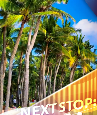 Sanya_s_Coconut_Dream_Corridor__Winter_Sun_Haven_in_Hainan video poster