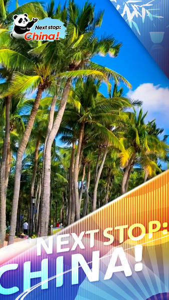 Sanya_s_Coconut_Dream_Corridor__Winter_Sun_Haven_in_Hainan video poster