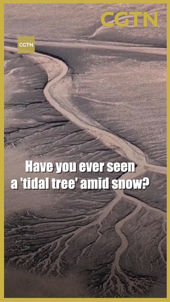 Snow_Covered__Tidal_Trees__Emerge_on_China_s_Qiantang_River video poster