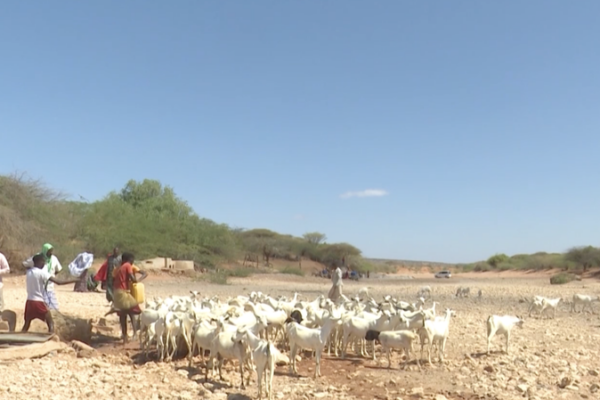 Somalia_s_Rural_Water_Crisis_Worsens_Amid_Prolonged_Drought video poster