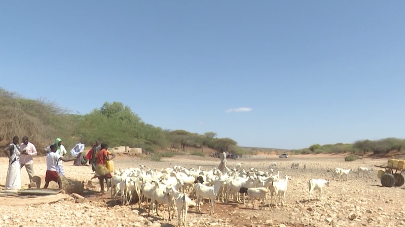 Somalia_s_Rural_Water_Crisis_Worsens_Amid_Prolonged_Drought video poster