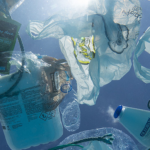 Sydney_s_Microplastic_Crisis__Pollution_Triples_in_3_Years__Report_Warns