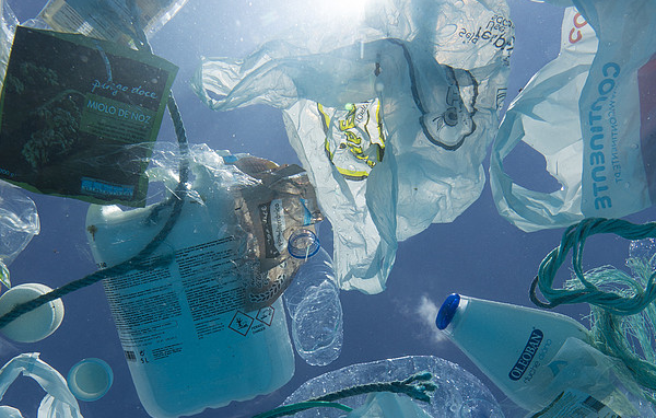 Sydney_s_Microplastic_Crisis__Pollution_Triples_in_3_Years__Report_Warns