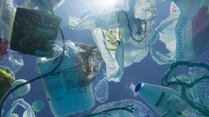 Sydney_s_Microplastic_Crisis__Pollution_Triples_in_3_Years__Report_Warns