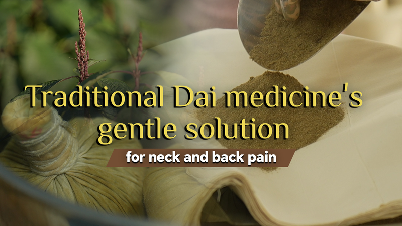 Traditional_Dai_Medicine_Offers_Natural_Relief_for_Chronic_Pain_in_Modern_Age
