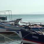 Tunisia_s_Great_White_Sharks_Face_Extinction_Amid_Illegal_Fishing_Crisis video poster