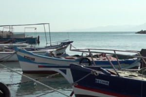 Tunisia_s_Great_White_Sharks_Face_Extinction_Amid_Illegal_Fishing_Crisis video poster