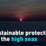 UN_High_Seas_Treaty_Takes_Effect__Protecting_Global_Oceans_poster - Khabar Asia UN_High_Seas_Treaty_Takes_Effect__Protecting_Global_Oceans video poster