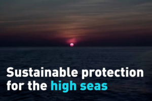 UN_High_Seas_Treaty_Takes_Effect__Protecting_Global_Oceans video poster