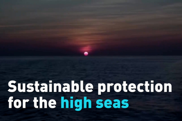 UN_High_Seas_Treaty_Takes_Effect__Protecting_Global_Oceans video poster