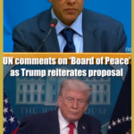 UN_Weighs__Board_of_Peace__as_Trump_Criticizes_Global_Body video poster