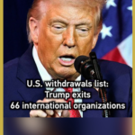 U_S__Exits_66_International_Bodies_Under_Trump_s_2020_Policy_Shift_poster - Khabar Asia U_S__Exits_66_International_Bodies_Under_Trump_s_2020_Policy_Shift video poster