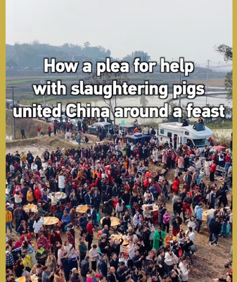 Viral_Pig_Slaughter_Plea_Unites_China_in_Cultural_Feast video poster
