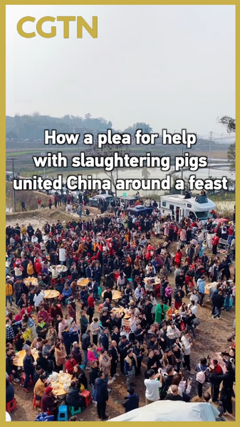 Viral_Pig_Slaughter_Plea_Unites_China_in_Cultural_Feast video poster