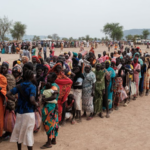 Escalating Violence in Sudan’s Kordofan Sparks Mass Displacement: UN