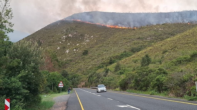 Western_Cape_Wildfires_Challenge_South_African_Firefighters_Amid_Heatwave