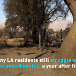 Wildfire_Survivors_Face_Mounting_Insurance_Battles_in_Southern_California video poster
