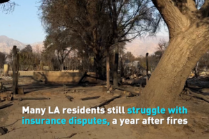Wildfire_Survivors_Face_Mounting_Insurance_Battles_in_Southern_California video poster