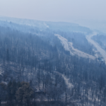 Wildfires_Force_Mass_Evacuation_in_Argentine_Patagonia