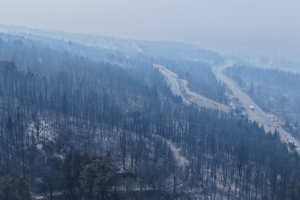 Wildfires_Force_Mass_Evacuation_in_Argentine_Patagonia