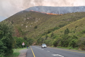 Wildfires_Ravage_South_Africa_s_Western_Cape__Thousands_Displaced