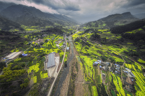 Winter_Blooms__Southern_China_s_Rapeseed_Flowers_Herald_Early_Spring video poster