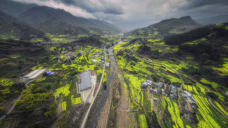 Winter_Blooms__Southern_China_s_Rapeseed_Flowers_Herald_Early_Spring video poster