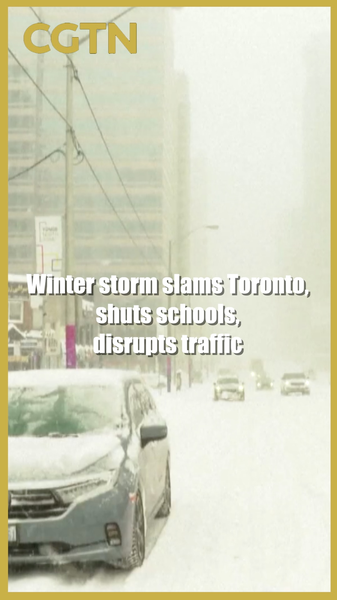 Winter_Storm_Paralyzes_Toronto__Disrupts_Schools_and_Transport video poster