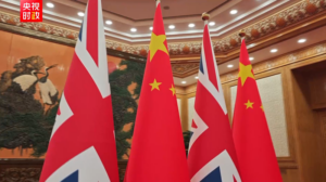 Xi_Jinping_Holds_Talks_with_British_PM_in_Beijing