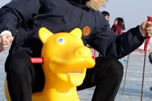 Xinjiang_s_Bosten_Lake_Emerges_as_Premier_Winter_Destination_in_2026 video poster