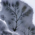 Xinjiang_s_Ice_Trees__A_Winter_Wonderland_Carved_by_Nature_poster - Khabar Asia Xinjiang_s_Ice_Trees__A_Winter_Wonderland_Carved_by_Nature video poster