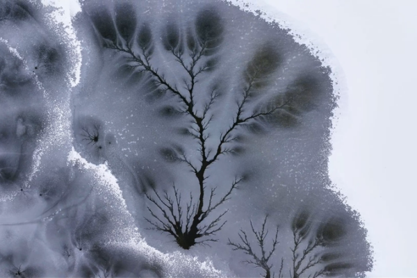 Xinjiang_s_Ice_Trees__A_Winter_Wonderland_Carved_by_Nature video poster
