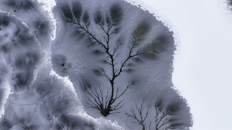 Xinjiang_s_Ice_Trees__A_Winter_Wonderland_Carved_by_Nature video poster