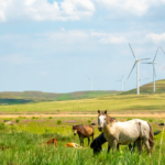 Prairie Winds Power China’s Green Computing Revolution