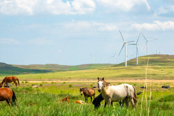 Prairie Winds Power China’s Green Computing Revolution