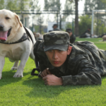 _Year_of_the_Dog__Brings_Family_Friendly_Thrills_to_Valentine_s_Day_Screens